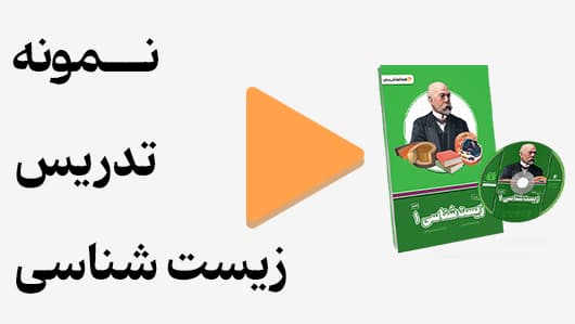 مشاهده نمونه تدریس