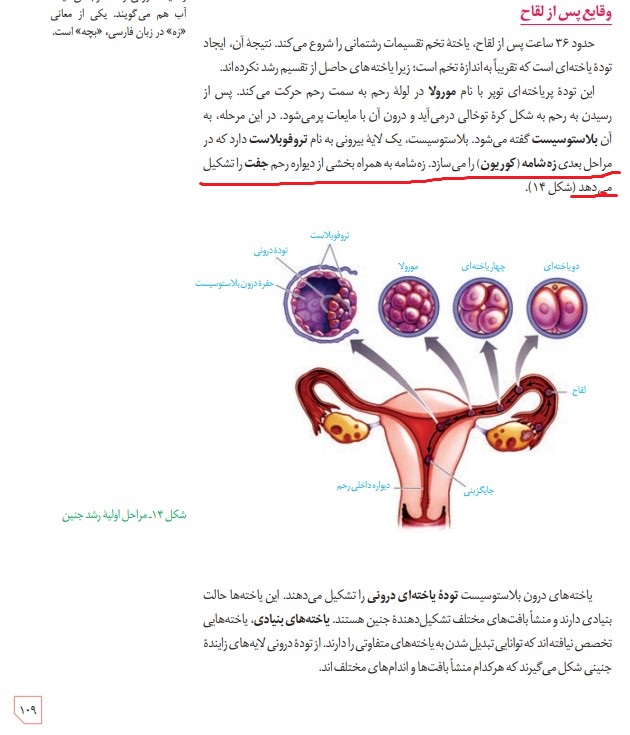 تغییر صفحه 109 زیست یازدهم