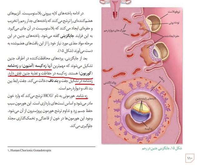 تغییر صفحه 110 زیست یازدهم