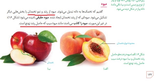 تغییر صفحه 132 زیست یازدهم