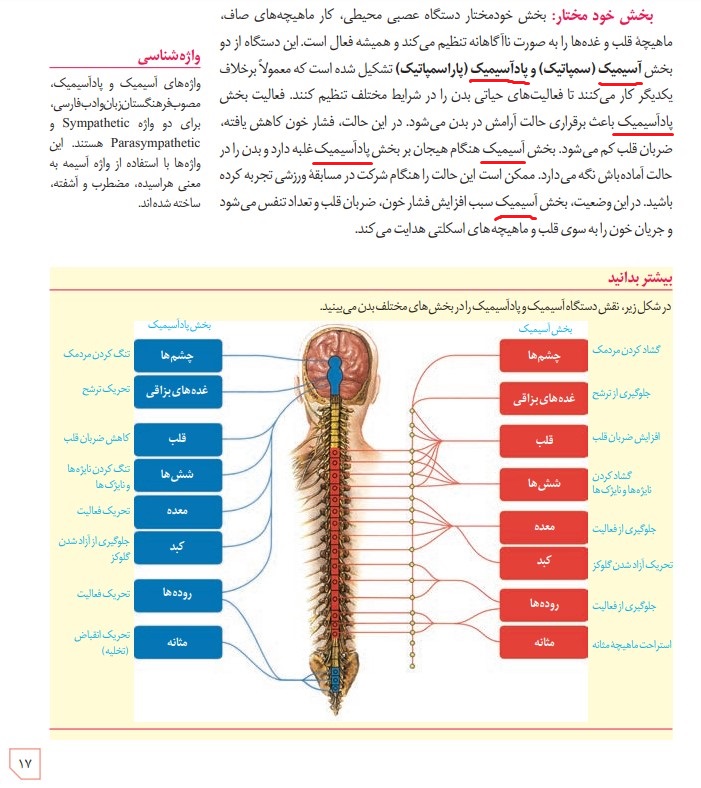 تغییر صفحه 17 زیست یازدهم