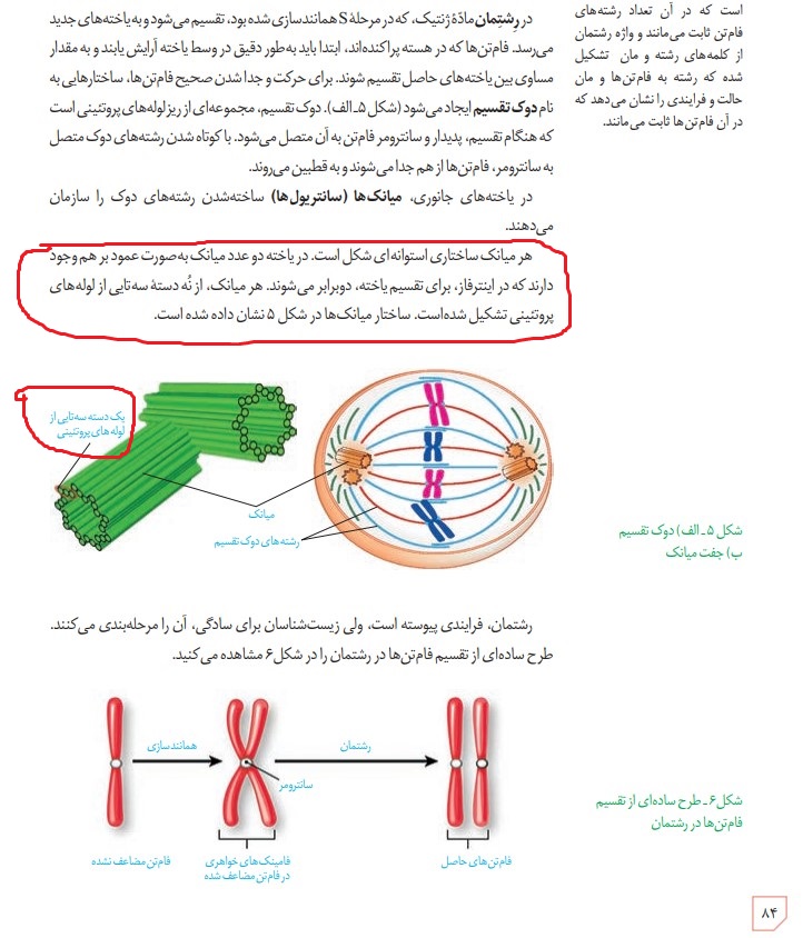 تغییر صفحه 84 زیست یازدهم