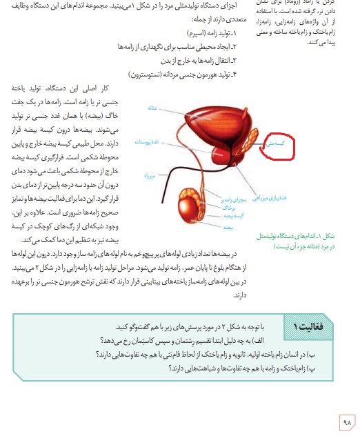 تغییر صفحه 98 زیست یازدهم